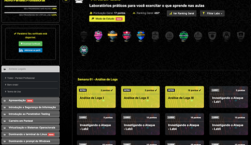 Plataforma Academy — imagem 5